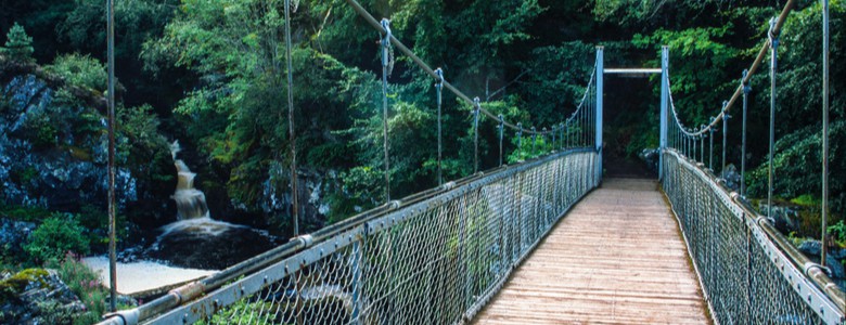 A footbridge over a stream in a forest