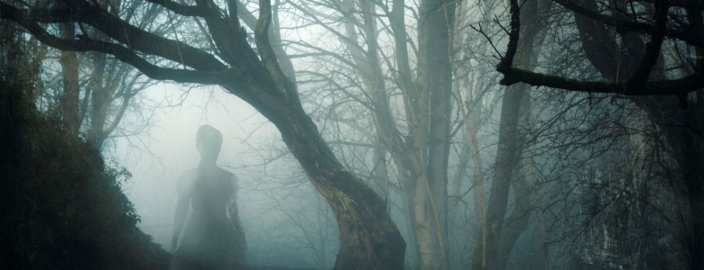 A ghostly woman in a fog-covered forest